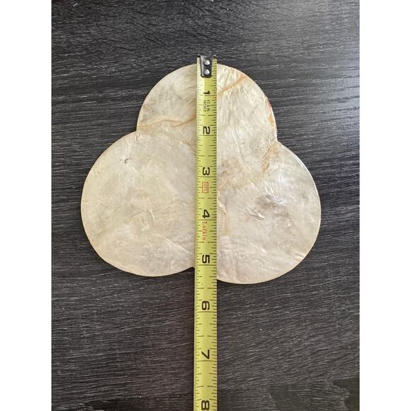 Kane Kutlery Genuine Shell Craft‎ 6 Shell Coasters Made In Philippines Cork Back - Picture 5 of 11